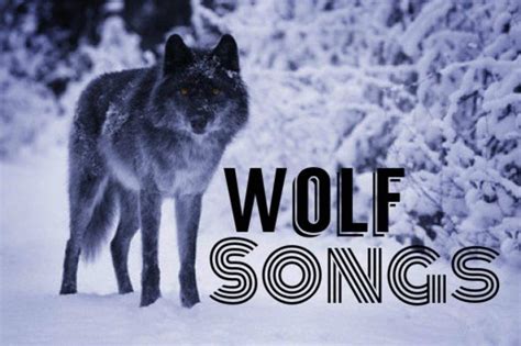 Howl (Rival Consoles album), 2015. . Rap song with wolf howl in the beginning